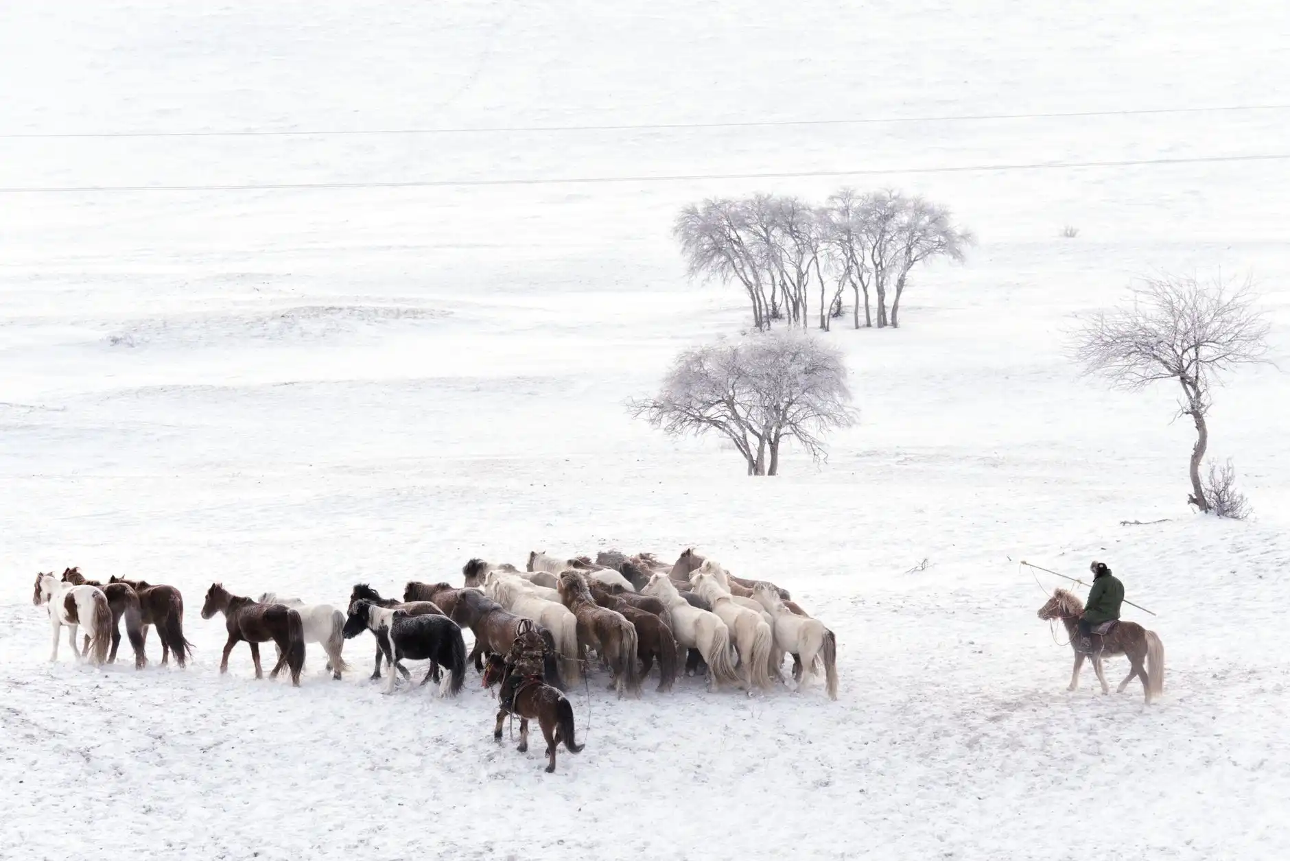 2024年智能道闸与车牌识别一体机选型指南:参数对比与场景适配